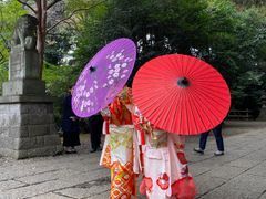 七五三