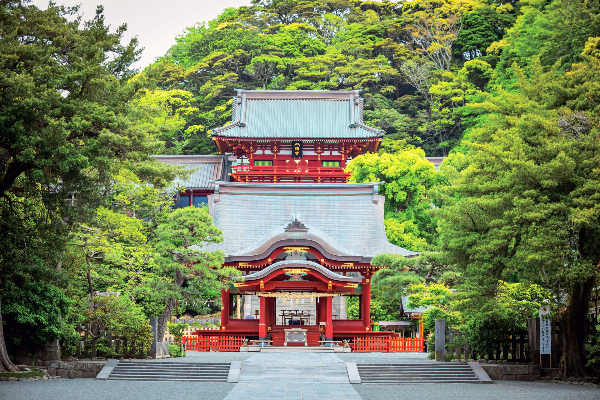 鶴岡八幡宮の出張撮影解禁！七五三とお宮参りの撮影手順を徹底解説