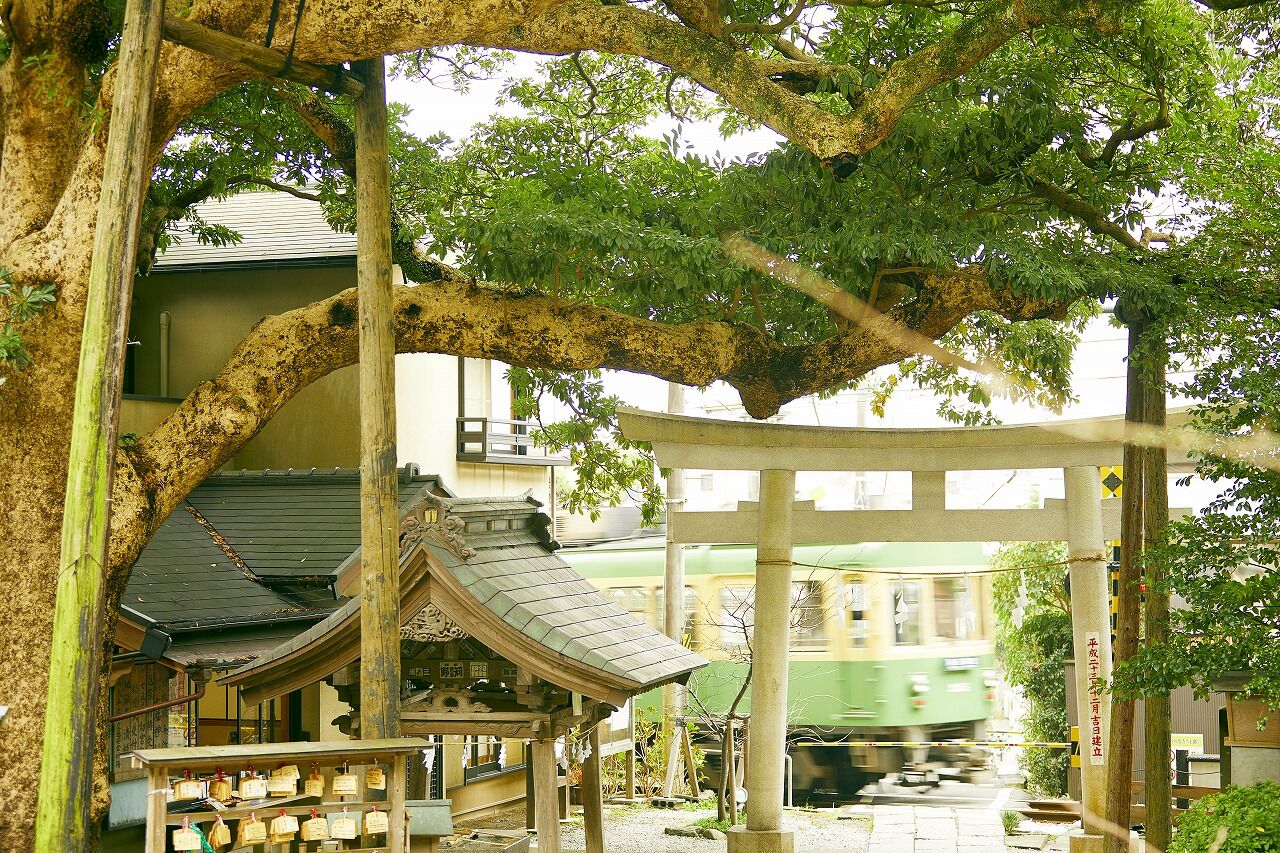 【鎌倉・江ノ電】御霊神社での七五三・お宮参り。ご祈祷中の撮影も可能な「神対応」な魅力とは？