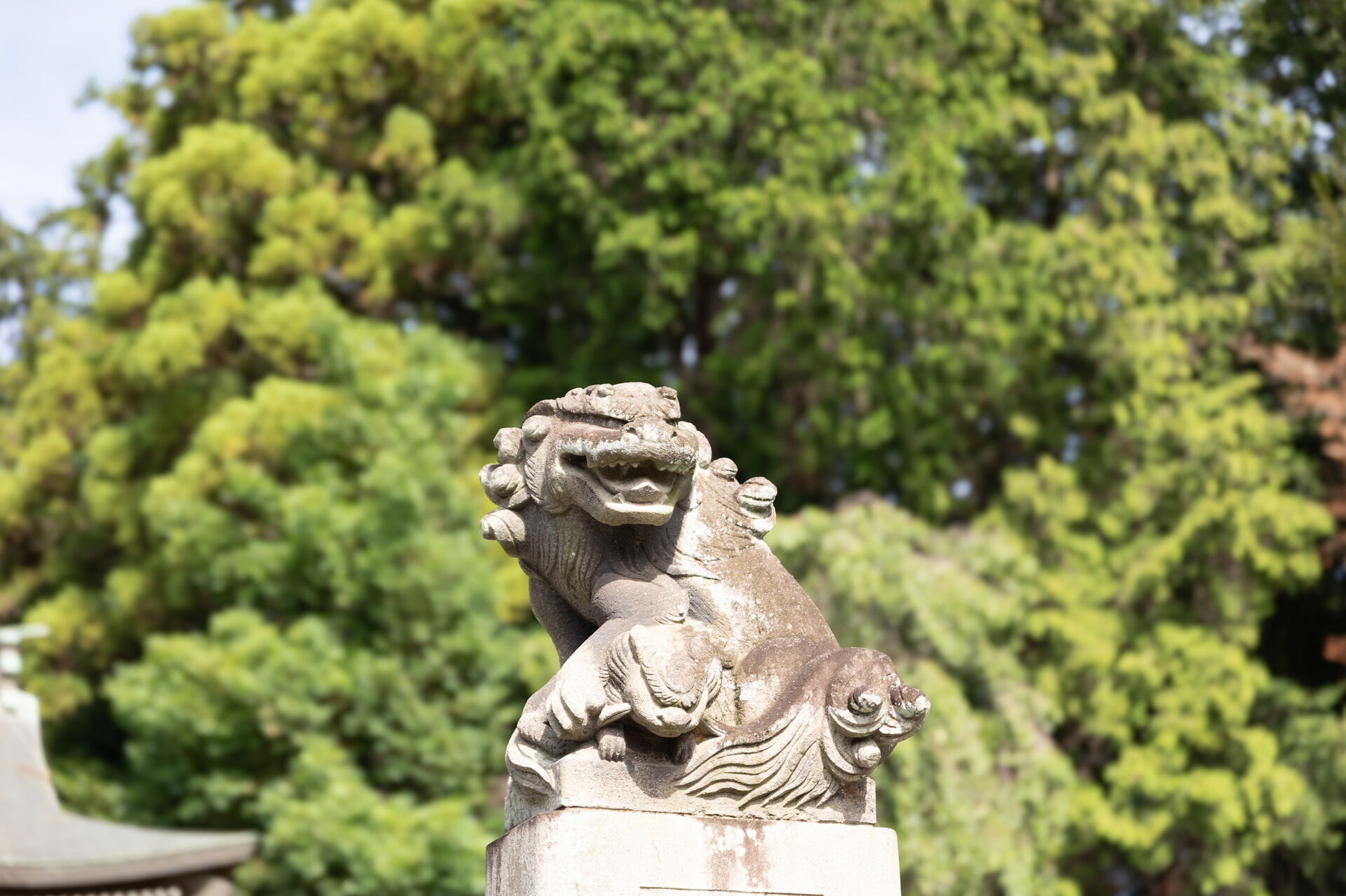 七五三は三輪の鎮守へ｜町田市・熊野神社（三輪町）のフォトスポットと魅力をご紹介