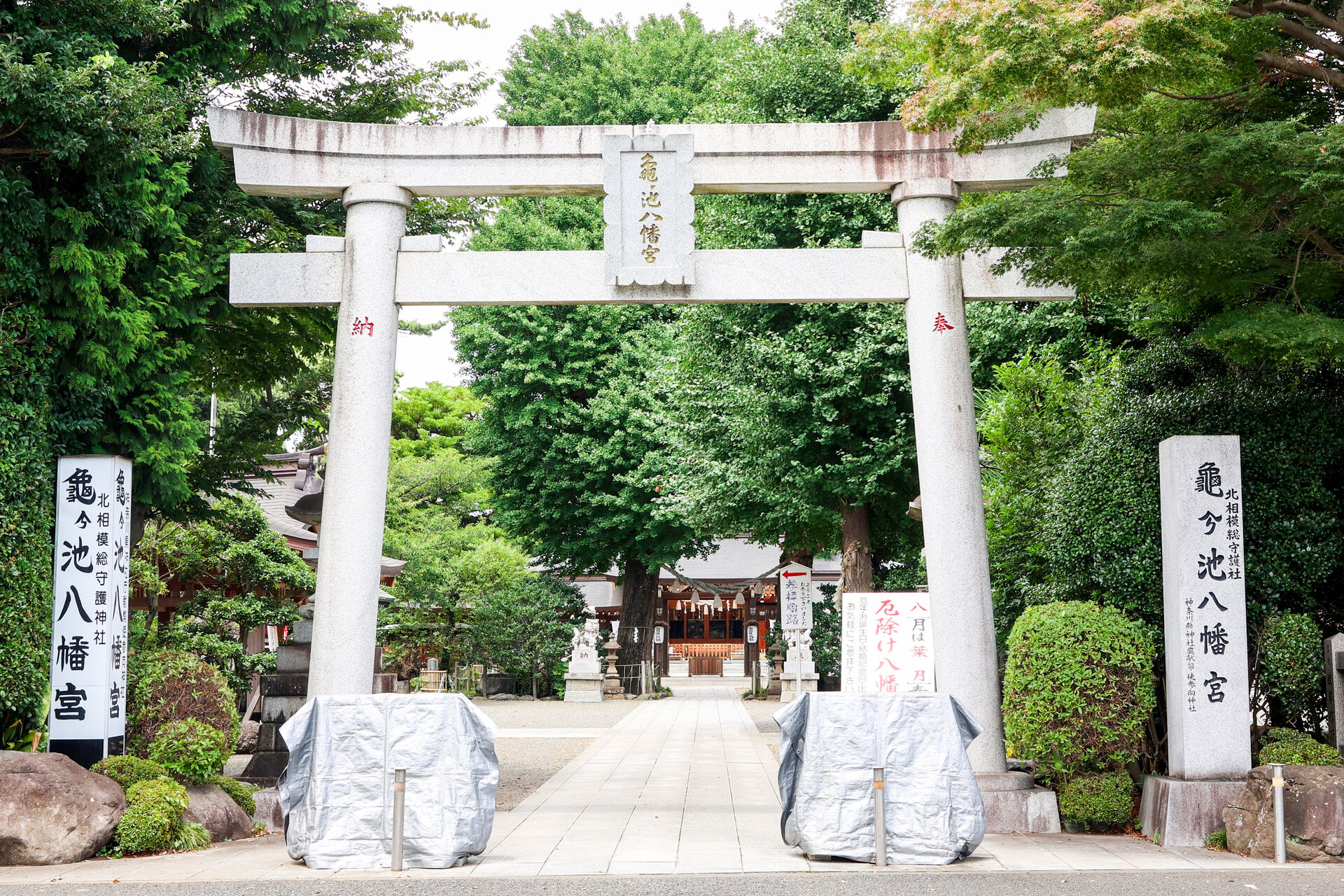 【相模原市】七五三におすすめの神社3選！次回から1社ずつ詳しくご紹介します