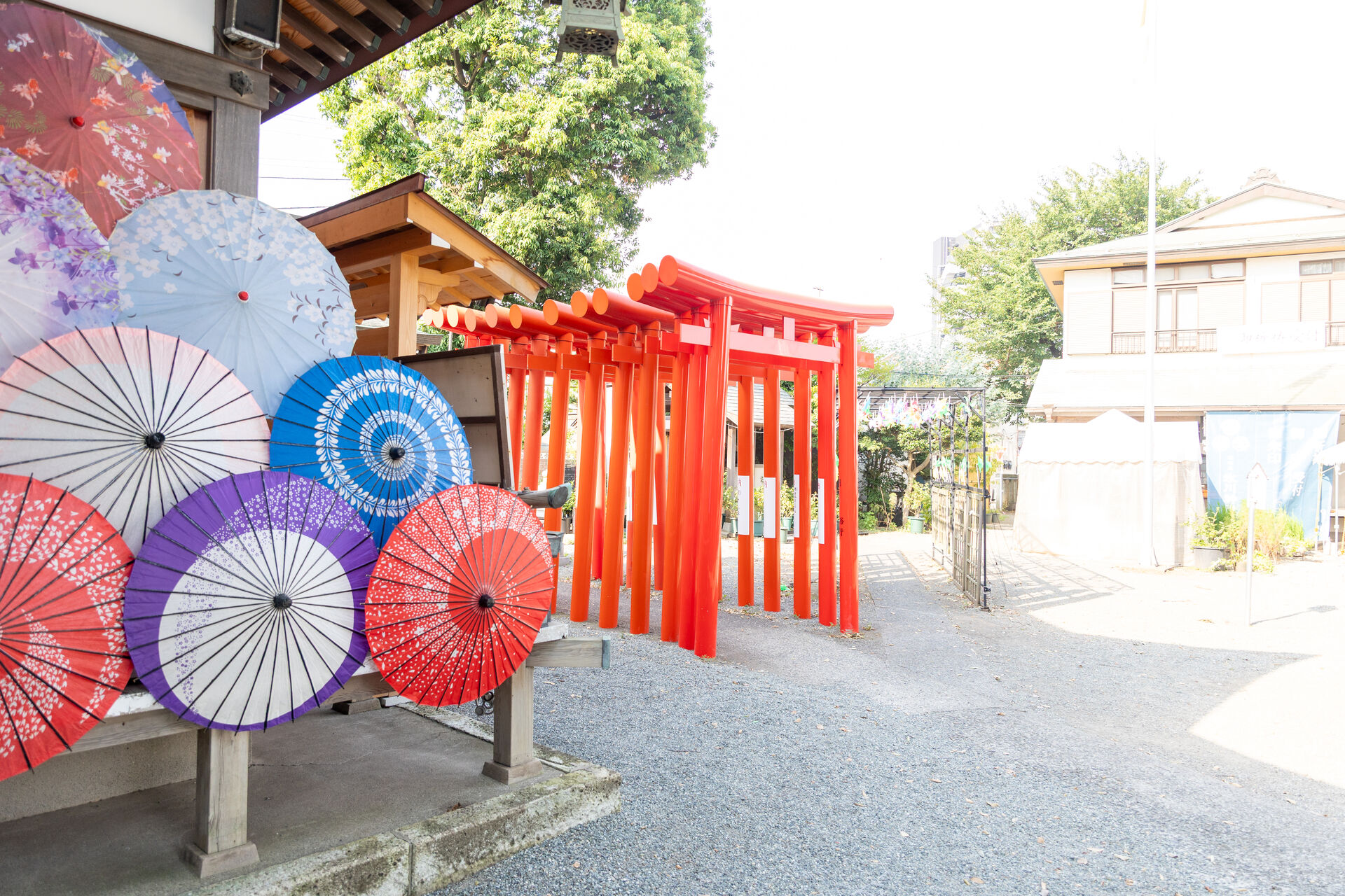 【相模原市・七五三シリーズ②】相模原駅から徒歩10分「相模原氷川神社」— 風車が彩る映えスポットで家族の一日を