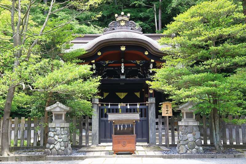 七五三は鶴岡八幡宮で。一年で一番撮影しているカメラマンがおすすめする理由【鎌倉編①】