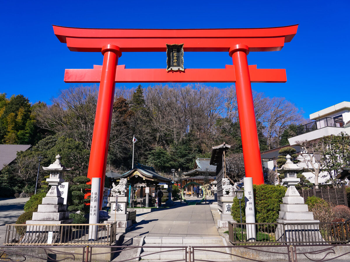 川崎の七五三はどこでお参りする？出張カメラマンがおすすめする人気の神社仏閣4選【シリーズ予告】