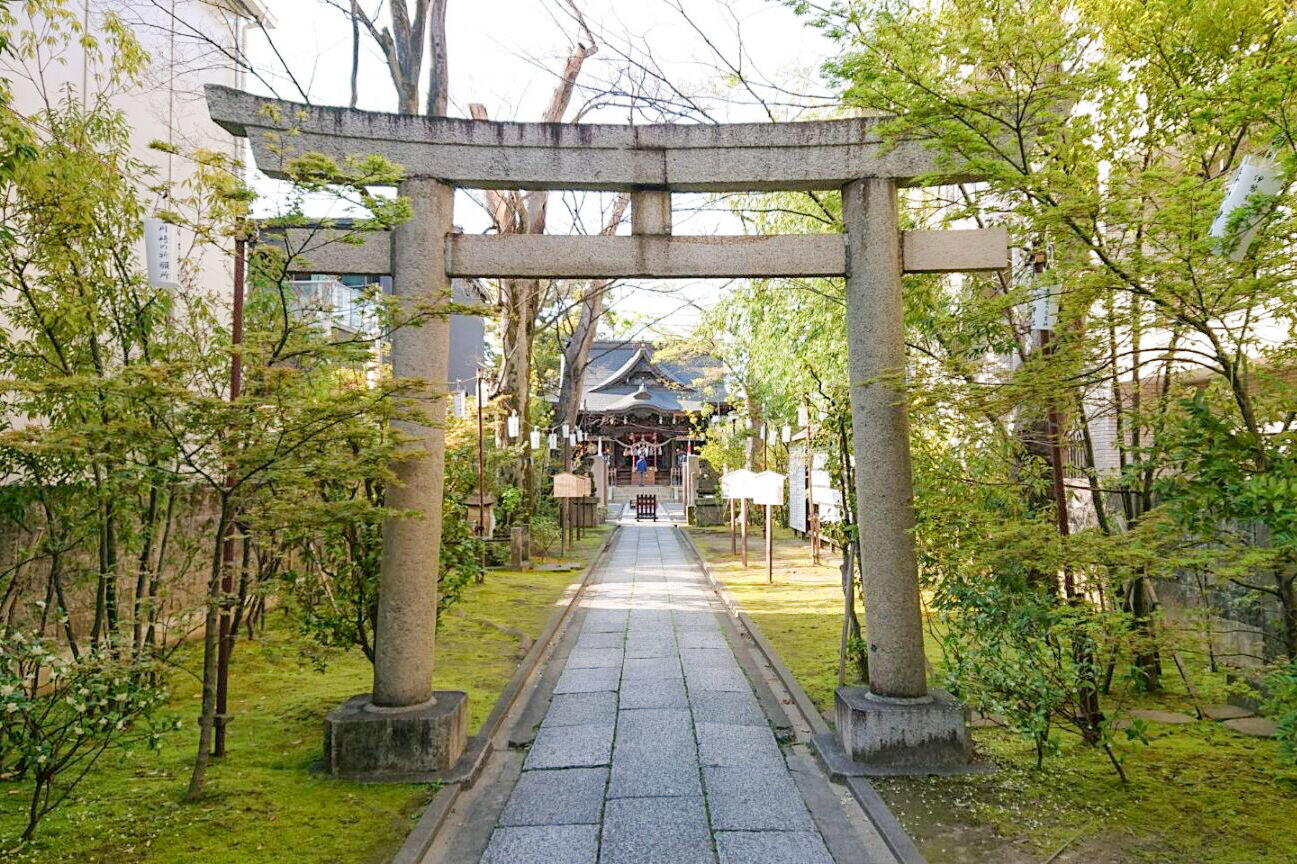 七五三は溝口神社で！駅から5分、親子楠や夫婦銀杏に見守られるお参りと撮影のコツ【川崎編 第2弾】