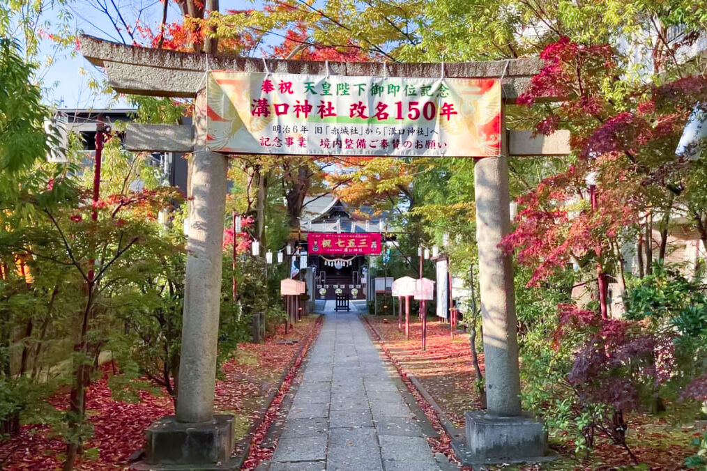七五三は溝口神社で！駅から5分、親子楠や夫婦銀杏に見守られるお参りと撮影のコツ【川崎編 第2弾】