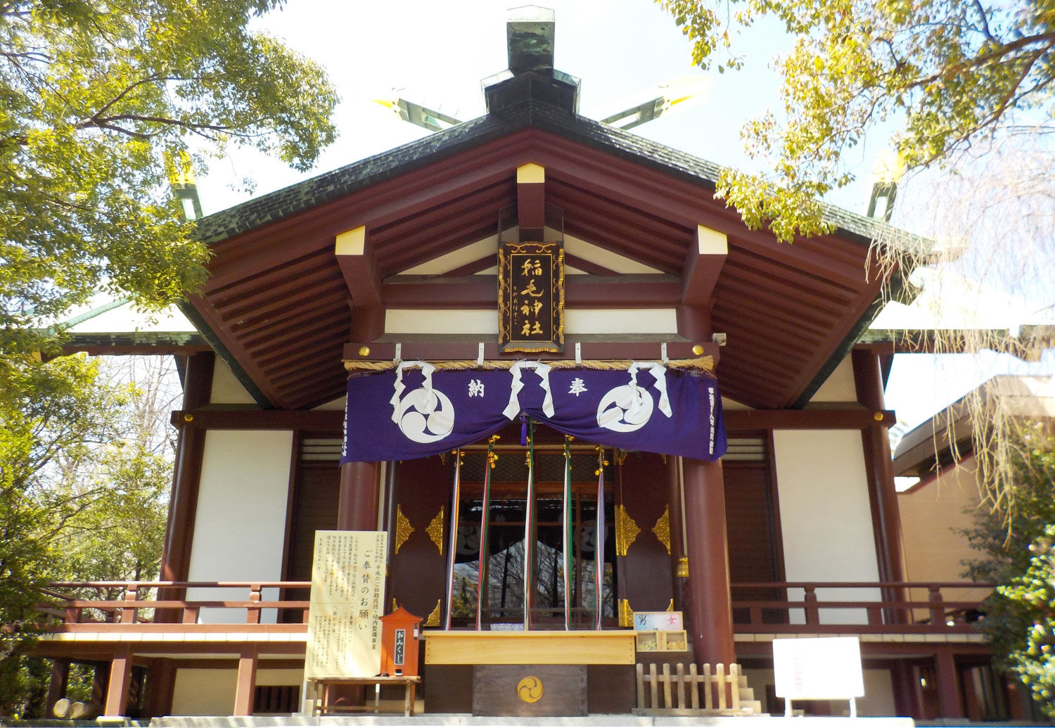 七五三は稲毛神社で！樹齢千年の大銀杏が見守る「川崎の守り神」と撮影のコツ【川崎編 第4弾・最終回】